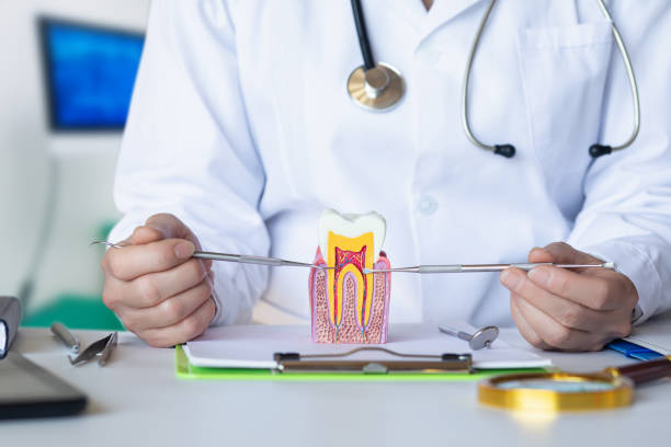 Best Emergency Orthodontic Repairs in Schler Park, IL